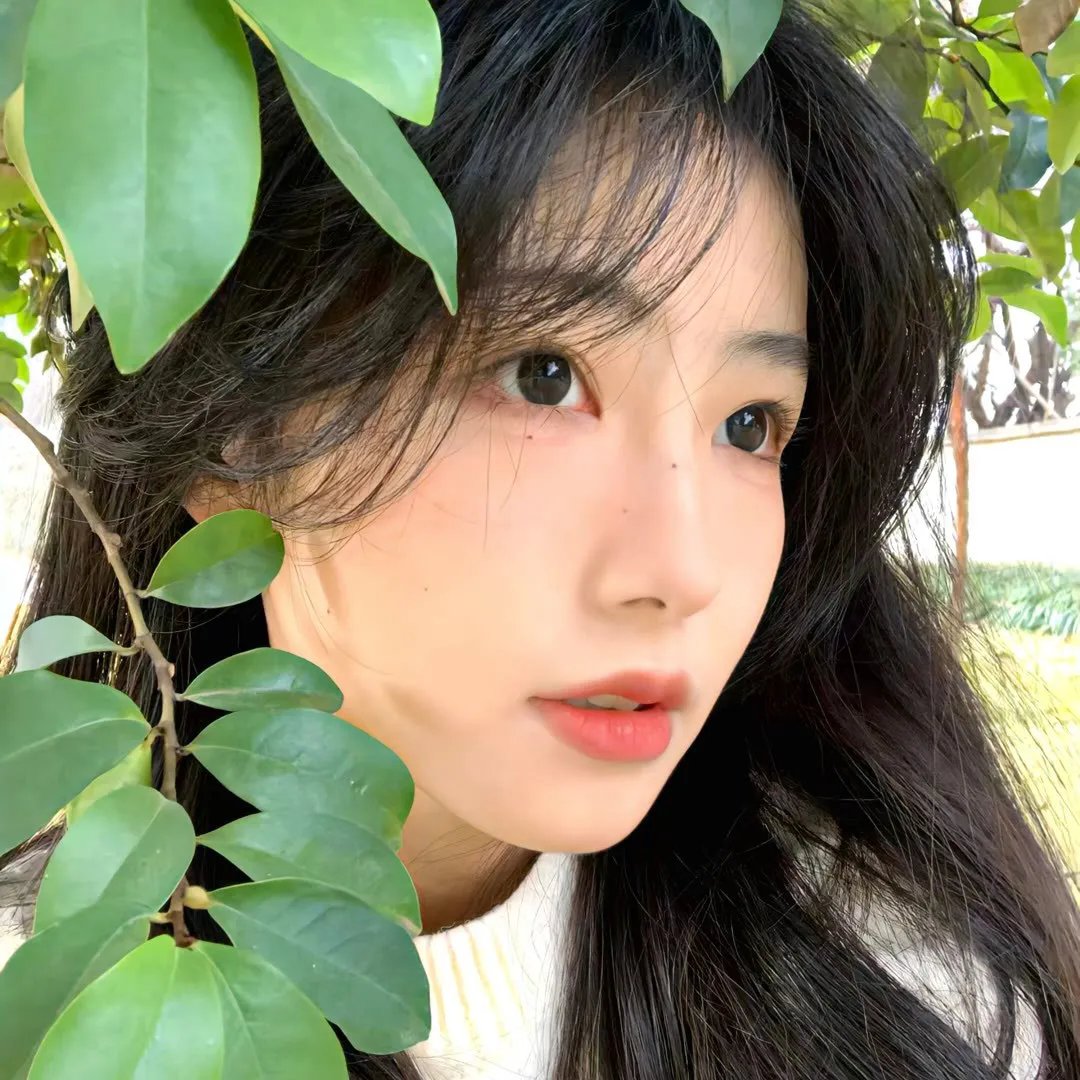 你的太阳